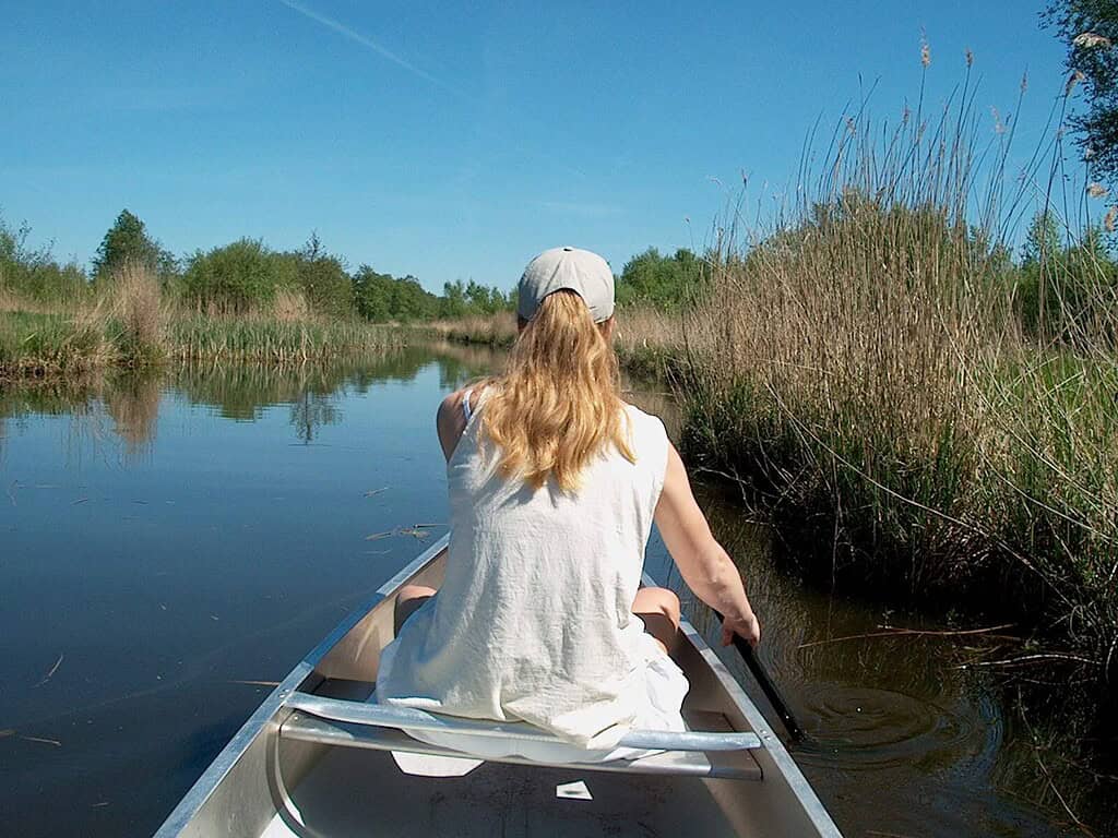 Vrouw voor in een Canadese kano peddelt door rietland in Nationaal Park Weerribben-Wieden.